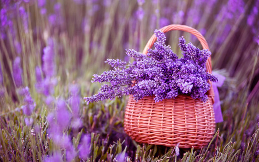 920052 (a): :2880x1800